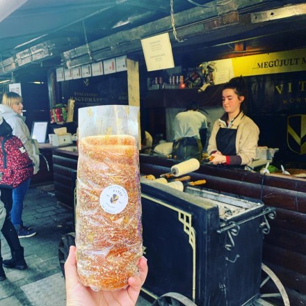 8EFCD389-A37E-44C8-8FC8-6438E29F6ECC